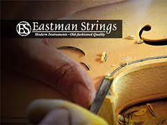 Eastman Orchestral Strings Clinic - Victoria, BC